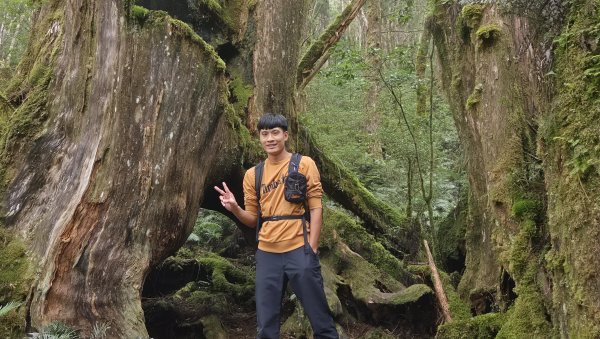【中級山】宜蘭小百岳，三星山