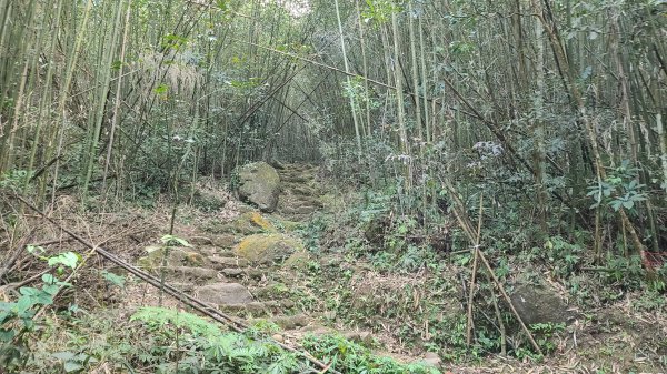 2021-1202 馬那邦山O型1535331