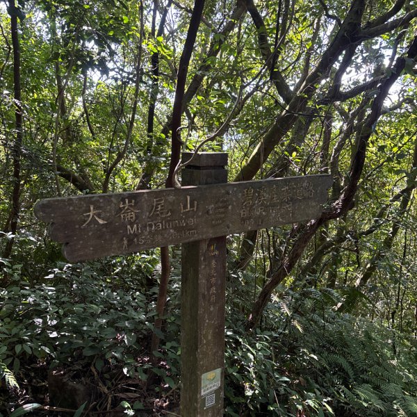 大崙頭山、大崙尾山2922667