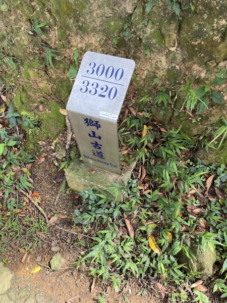 [皮皮獅Hike客任務-04/10] 2024_0721 獅山古道2557460