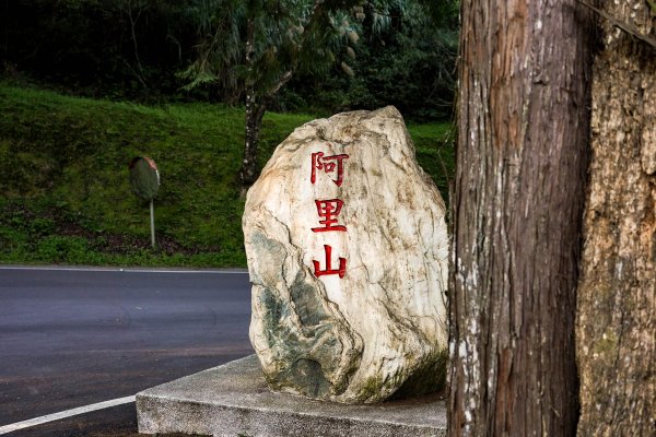 眠月線｜唯美森林鐵道3037101