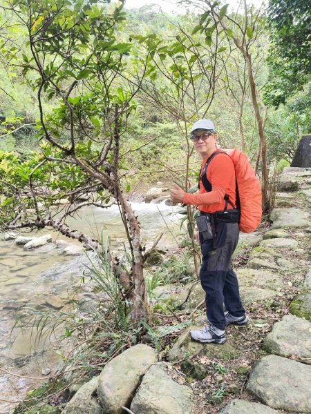 草嶺古道2025 芒花季2932014