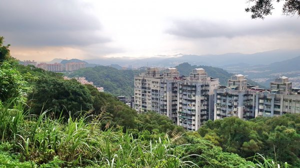 土城太極嶺，五城山，將軍嶺，文筆山，鶯歌石，牛灶坑山，龜公山，孫龍步道，二鬮山1736824