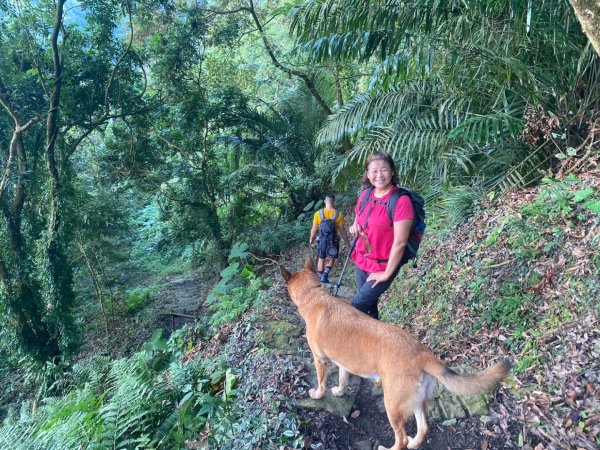 阿拔泉山、觀音石山、紅南坑山、獨立山2650826
