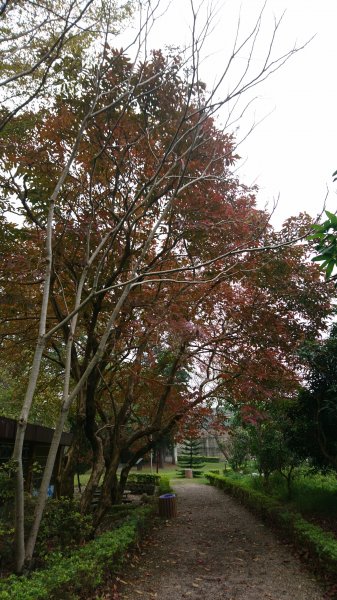 高峰植物園684194