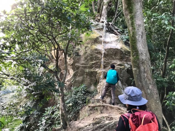 五寮尖上大風狂448894