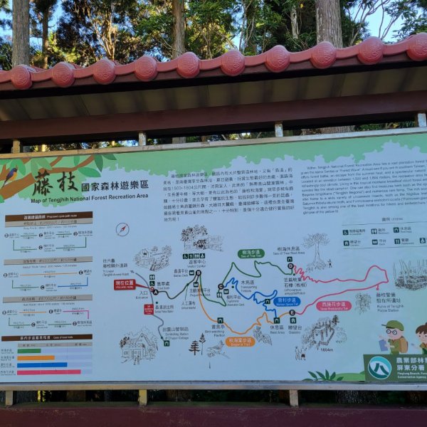 藤枝國家森林遊樂區（小百岳）2291766