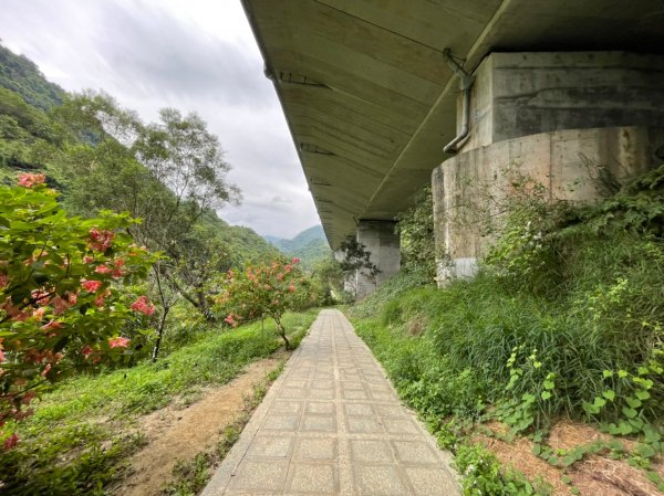 新北｜深坑．石碇 淡蘭古道南路 淡蘭便道（TK3-2~3-3）1582693