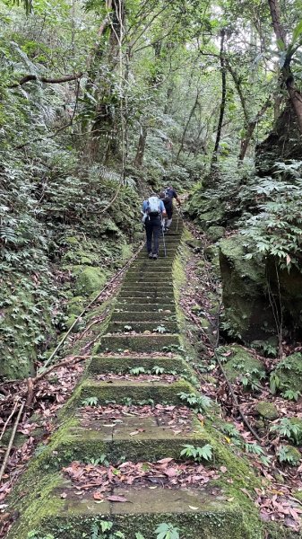 微笑山⛰️線-大棟-二格山-五分山-天上山-鳶山💎12條步道完成💙2836370