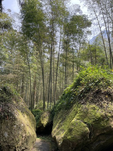 溪頭景觀步道2468827