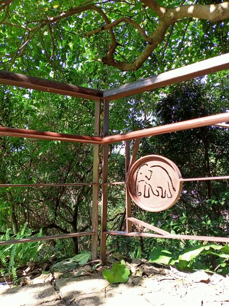 【南山神壽任務尋寶趣】國際化的象山親山步道1596469