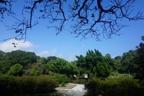 古道探訪｜竹林小徑、百年老樹幽靜古道1180502