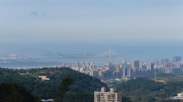 20260125 陽明山前後山健行(無極天元宮~山仔頂步道.向天池.向天山.面天山.二子坪)2997947