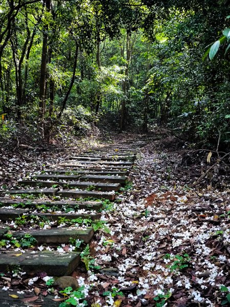 2025-04-27 三員縱走2772049