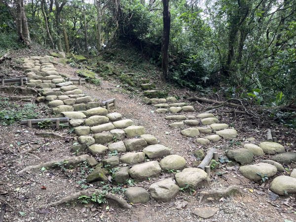 [微笑山線_第一段] 2025_0720 大棟山系_鎮遠山2843558