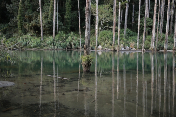 鹿屈山：水漾森林73504