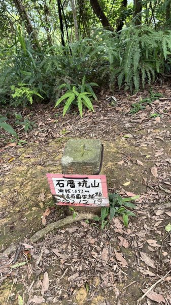 打鐵寮古道-石厝坑山-白石山O型走2551755