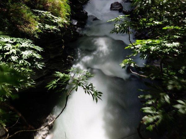 兩颱風之間空擋登屏風山巧遇保育類動物+出大景2237829