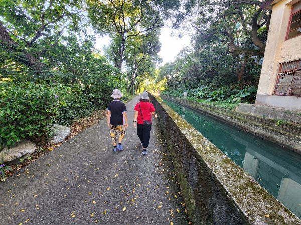 20241019 Ubike 湖口 ~ 大溪2671642