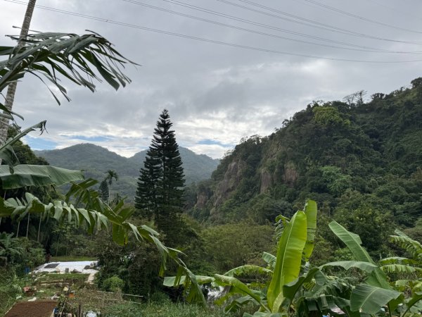 南港山(小百岳#13)/中華科技大學南港山來回2938265