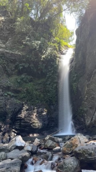 裡冷上唐麻丹O繞+蝴蝶谷2742934