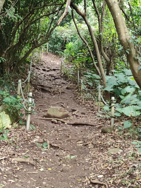 2026臺北大縱走第一段&第二段3011307