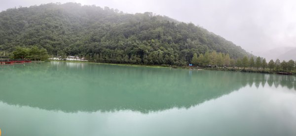 20241121_望龍埤步道2855715