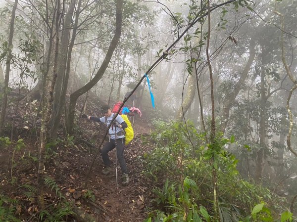 馬那邦山.細道邦山【你 不能預判山的變幻莫測】2401519