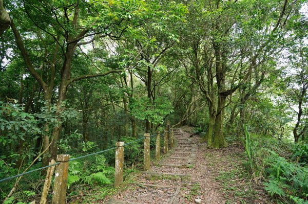 新北 新店 獅仔頭山、粽串尖、大丘田山2804274