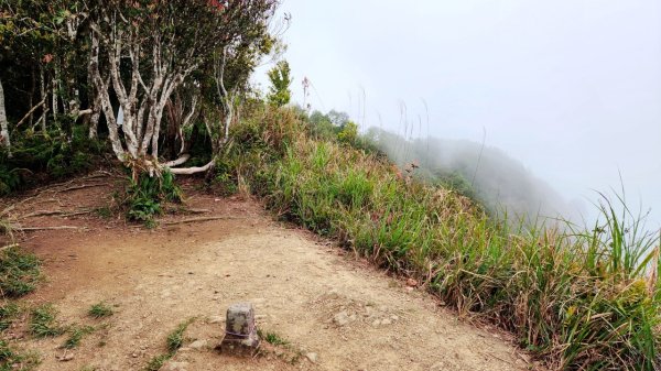 【中級山縱走】水雲三星，橫龍山，騰龍山，橫龍古道2742976