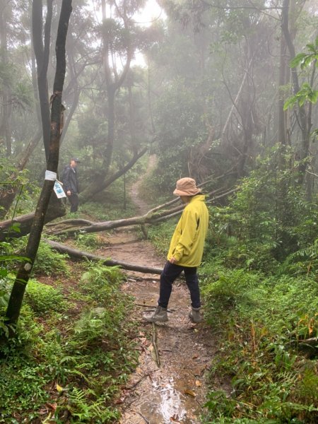 大雨中的獅仔頭山1197103