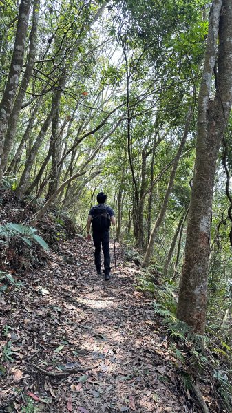 崩潰陡上的水雲三星～鳥嘴山（上島山）2095290