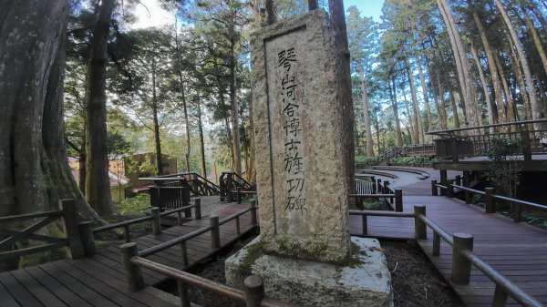 阿里山眠月線2972766