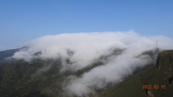 [縮時攝影雲山水]陽明山再見雲瀑+觀音圈&月亮同框