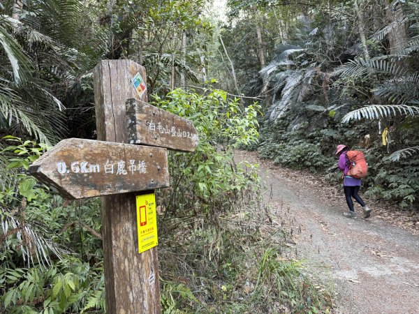 谷關 白毛山-逆O繞 202603153018966