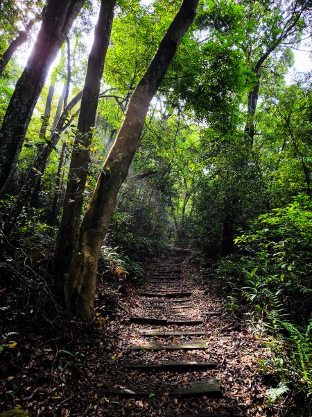 2025-04-27 三員縱走2772051