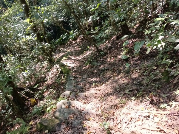 坪林區楣子寮尖+土地公遺址+火燒寮古道+枋山坑古道+枋山坑崙O型2985699
