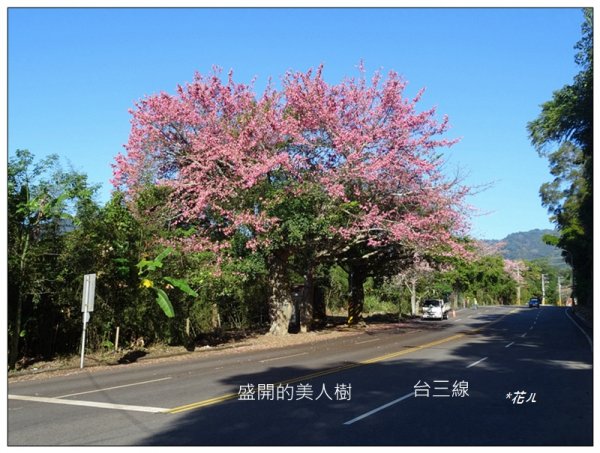 天字第一號三等三角點(包樹崠山)2378584