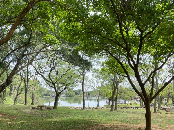 樟之細路-尋寶💎任務1-53019788