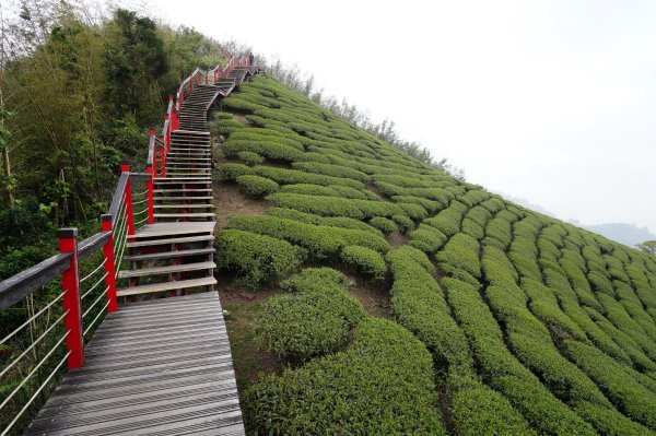 嘉義 梅山 太平山、梨子腳山、馬鞍山、二尖山、大尖山、碧湖山2748985