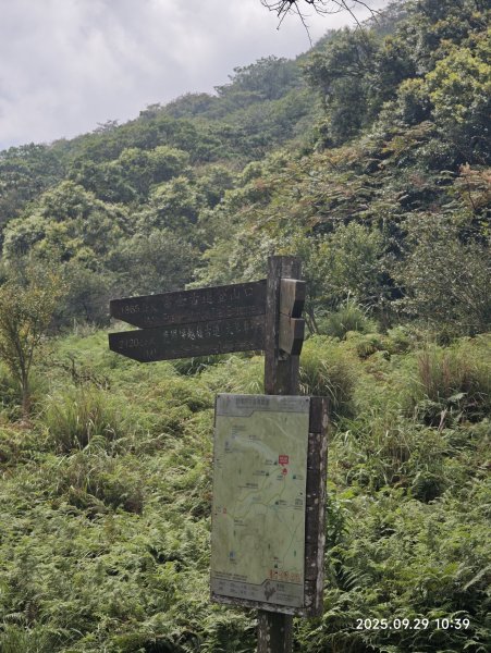 2025-0929 鹿堀坪古道2899439