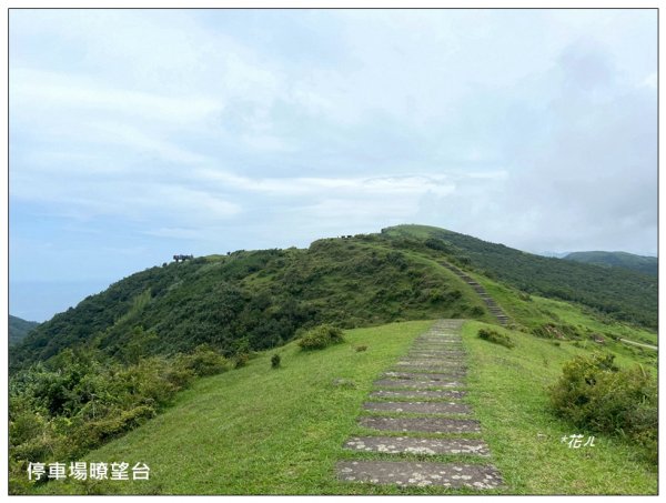 灣坑頭山(小百岳)內寮線、大溪線、草嶺線連走2529364