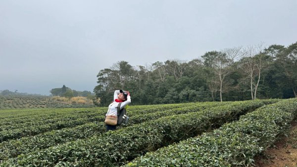 20260127三通嶺山.三義山(大桁茂山).慈濟山.大坪山大O走2990017
