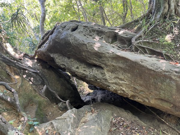 [微笑山線_第九段] 2025_0914 二格山系_天王峰2889543