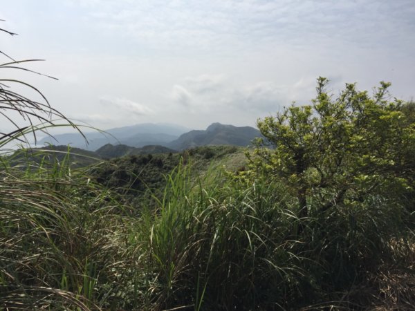 福隆車站-福隆山-大湖崛山-龜媽坑1297290