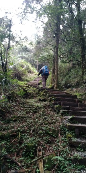 阿里山山脈~~塔山976785