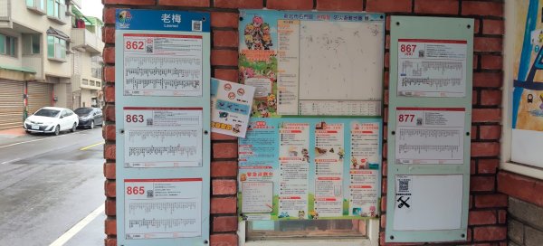 石門珊瑚貝殼廟3051169