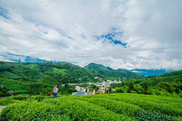 嘉義梅山大巃頂步道1335564