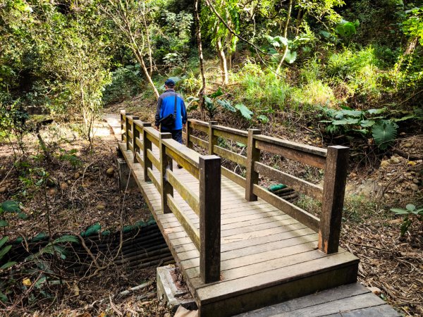 2025-12-14 大肚萬里長城步道、環保公園步道、旗開得勝步道2968975