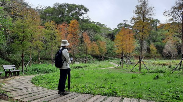 《新竹》城市微旅｜青青草原及香山濕地賞蟹步道202112121547115